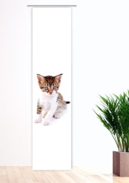 Träumli Katzenbaby, Flächenvorhang Einzel